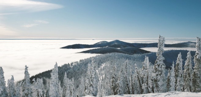 backcountry ski essentials