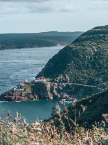 beautiful hiking trail near st john's newfoundland