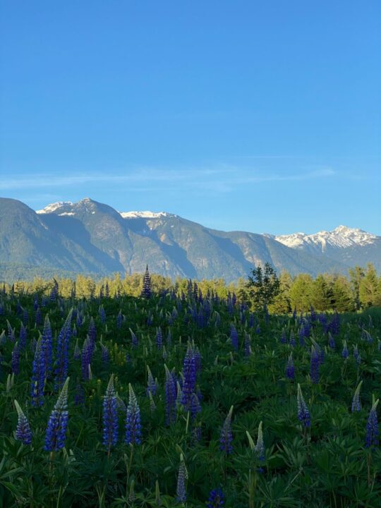 What to Do in Pemberton, British Columbia: 13 Epic Activities