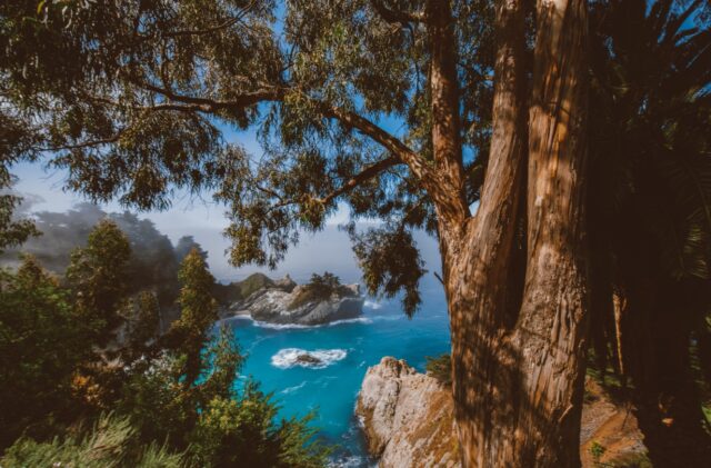 The Best Time to Visit Big Sur, California - Voyage & Venture